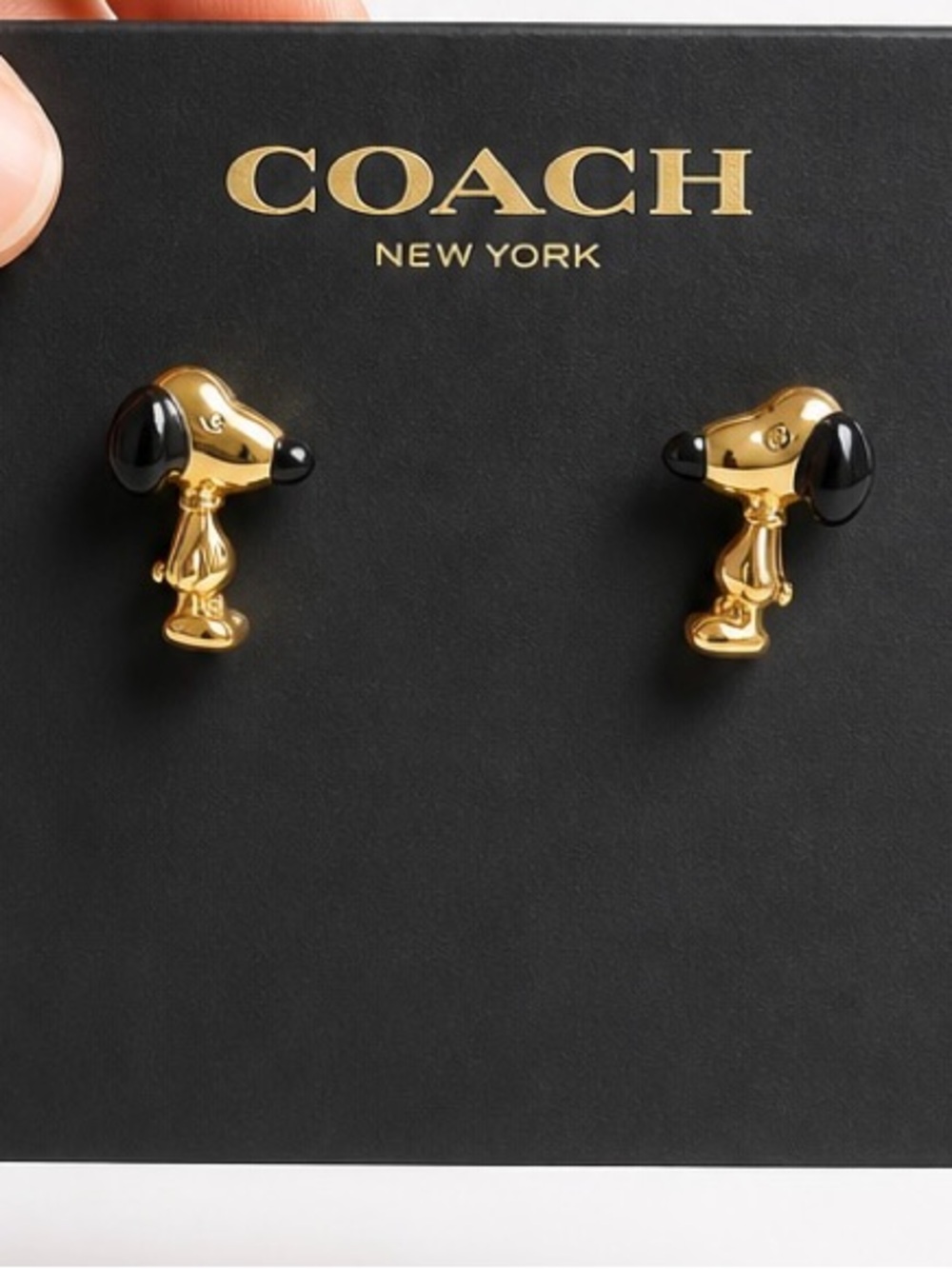 Coach x peanuts snoopy earrings (78)